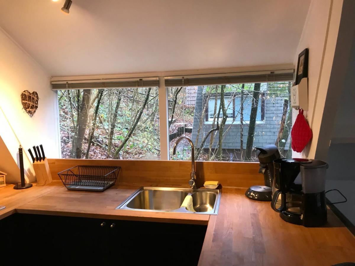 Heavenly Renovated Cabin Near Pittoresque Durbuy - Whistler Villa ภายนอก รูปภาพ